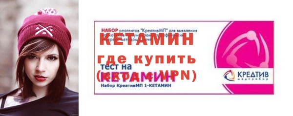 индика Бородино